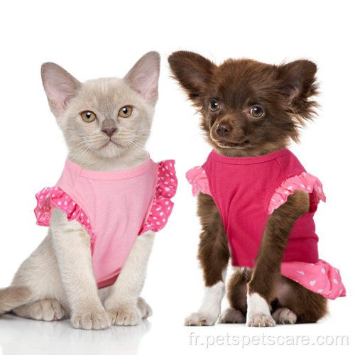 Robes de chien pour la fille mignonne femelle faire